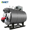 4t/h gas oil steam boiler