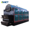 Industrial 10t/h Biomass / Coal DZL Steam boiler